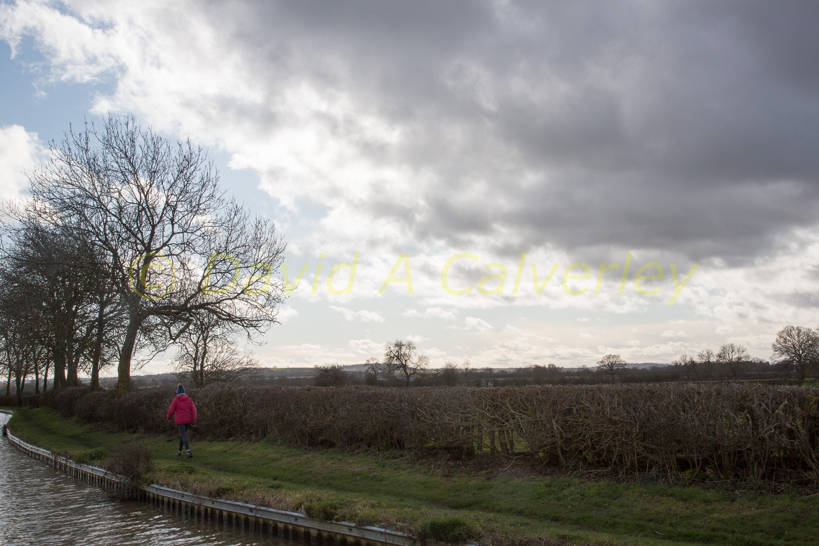 Oxford_Canal_[North]-2006.jpg